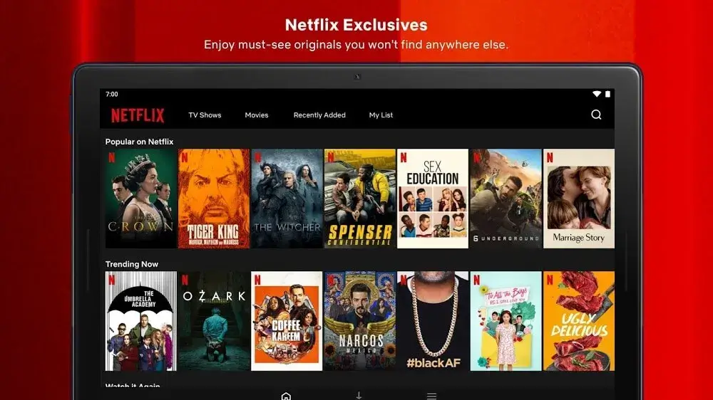 Netflix Premium Mod Apk