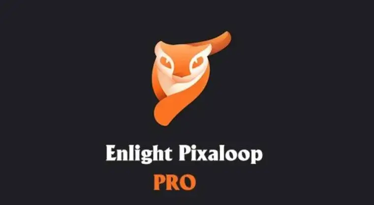 Pixaloop Pro Apk 
