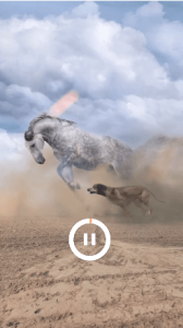Pixaloop Pro Apk 2024 (Pro Unlocked) For Android 4